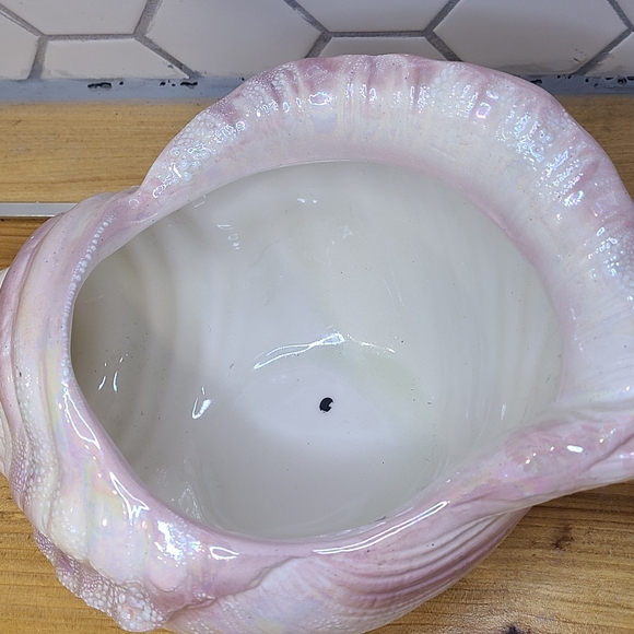 Porcelain Sea Shell - Picture 6 of 6